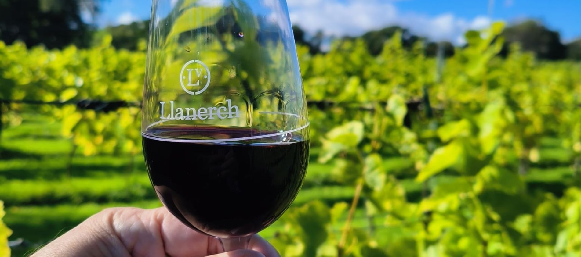 Llanerch Vineayrd wine glass