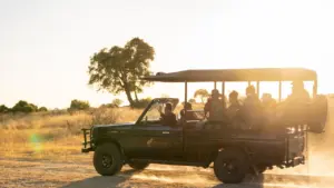 Chobe Safari Lodge, game drive