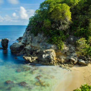 Barbados Cove